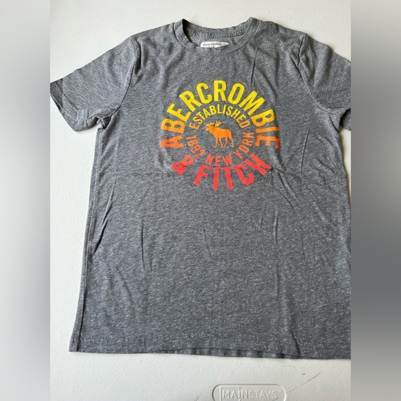 Abercrombie gray chest logo t-shirtsoft fabric and short sleeve Sz 13-14 boys - Picture 1 of 6